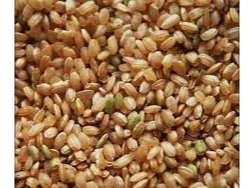 Arroz Yamani de Terra