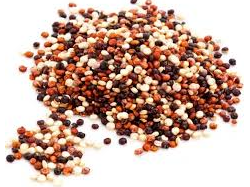 Semilla de Quinoa tricolor