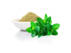 Menta en polvo