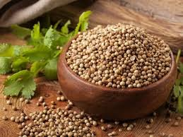 Coreandro en grano