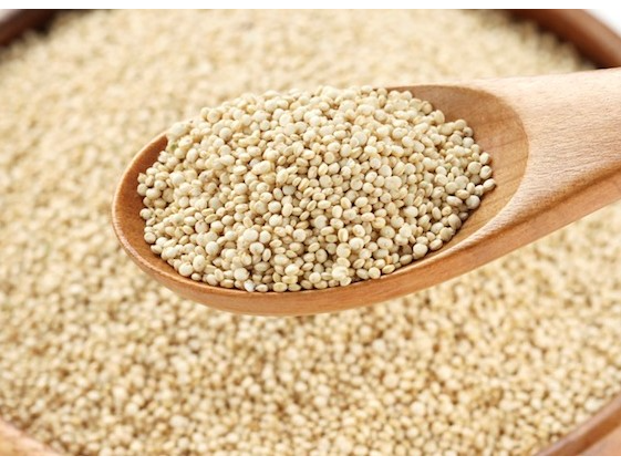 Quinoa Desaponificada PERUANA