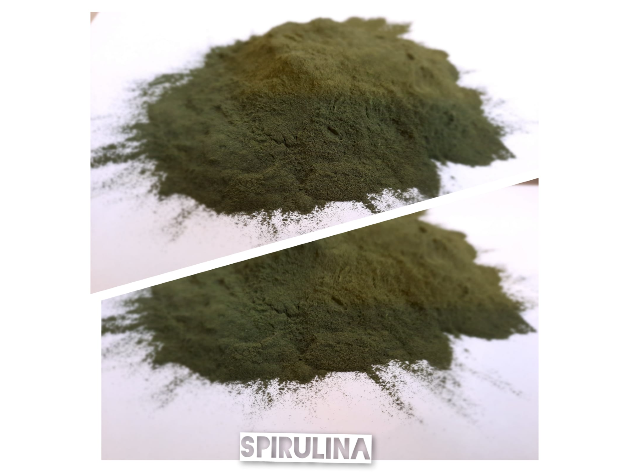 SPIRULINA EN POLVO (en granel en polvo)