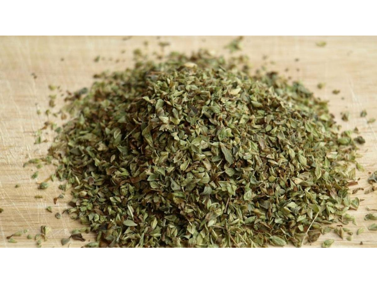 OREGANO