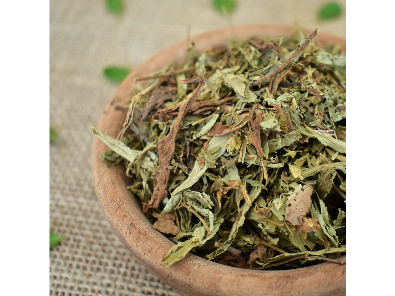 STEVIA EN HOJA