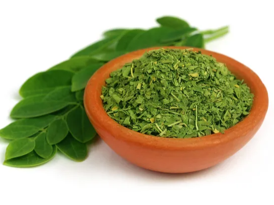 Moringa EN HOJAS