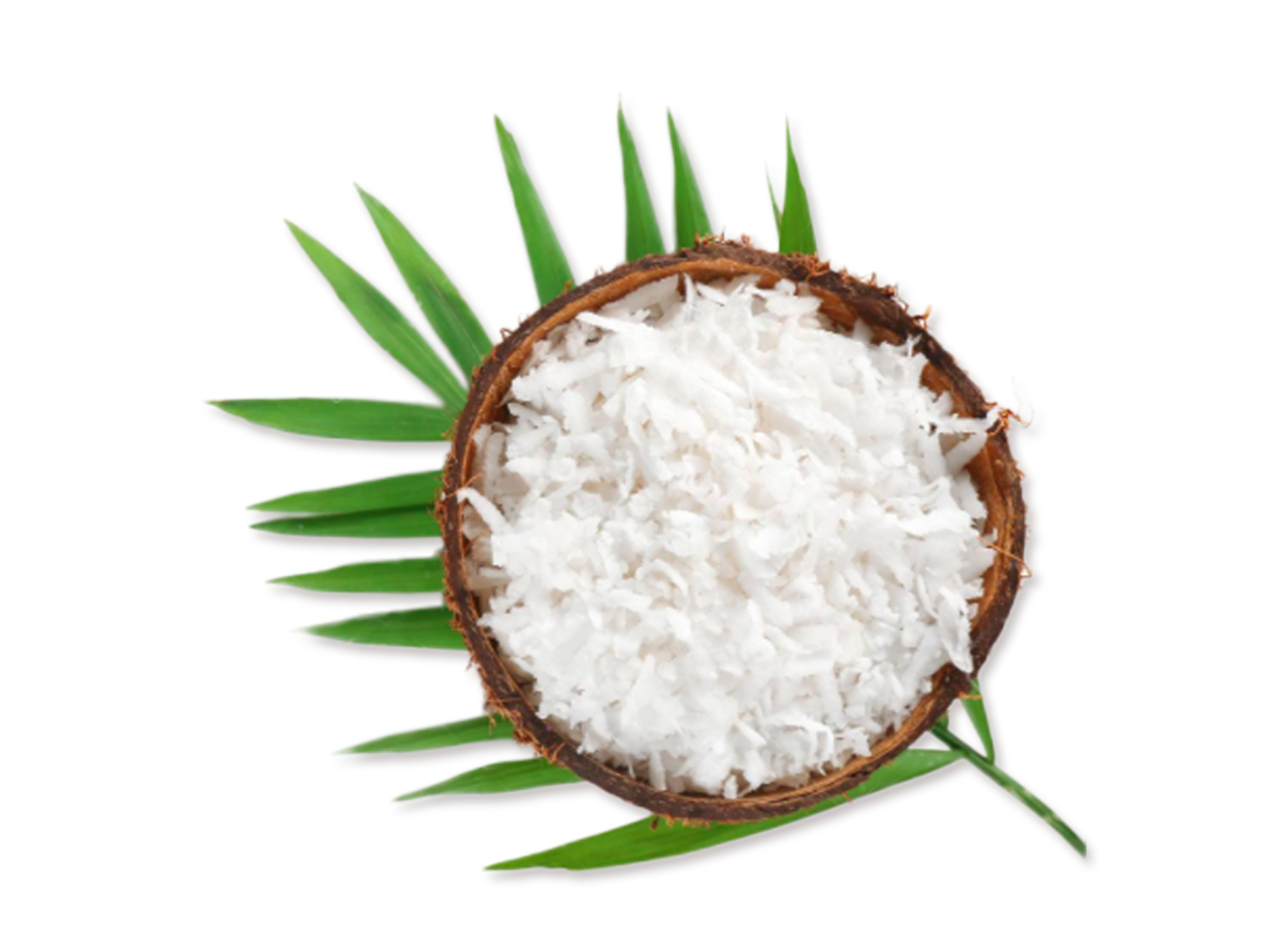 LECHE de COCO en POLVO