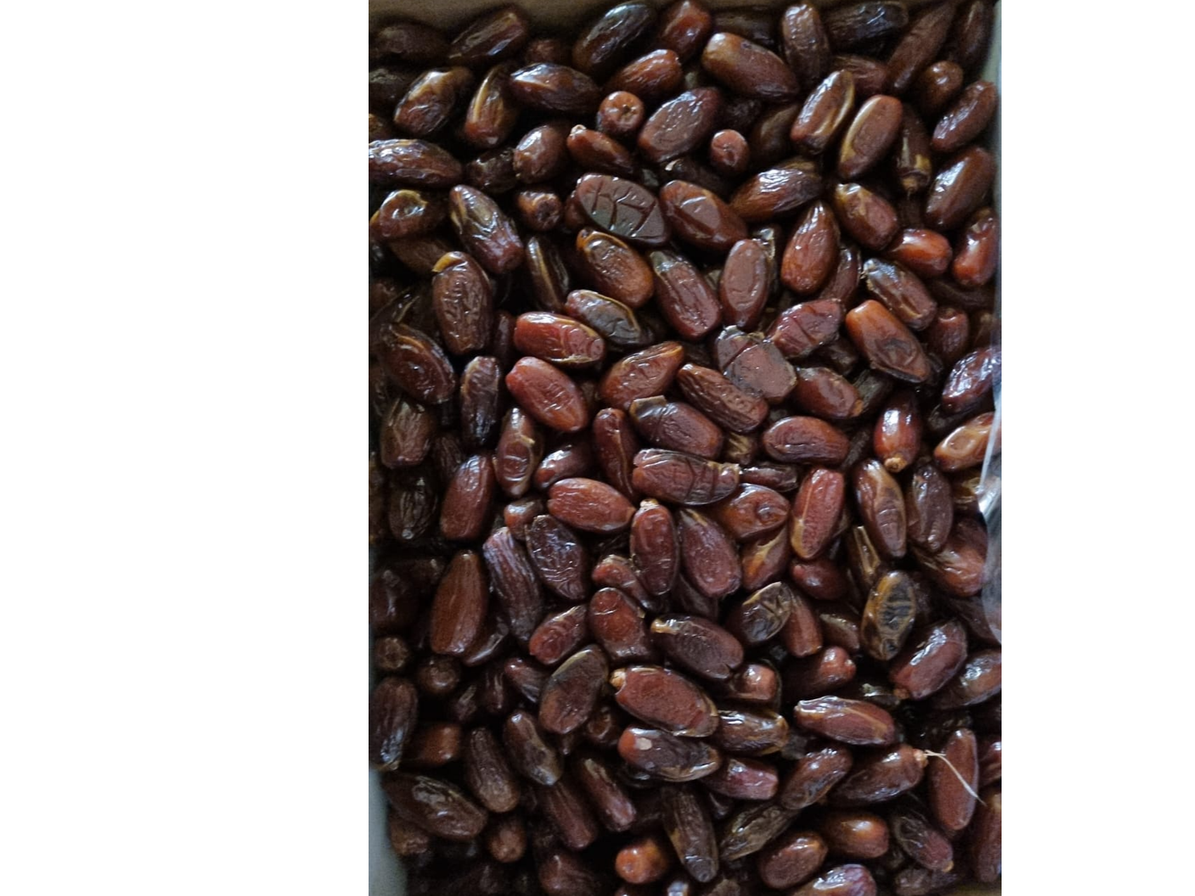 Datiles con carozo - MEDJOUL (Grande)