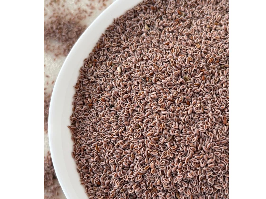 SEMILLA DE PSYLLIUM