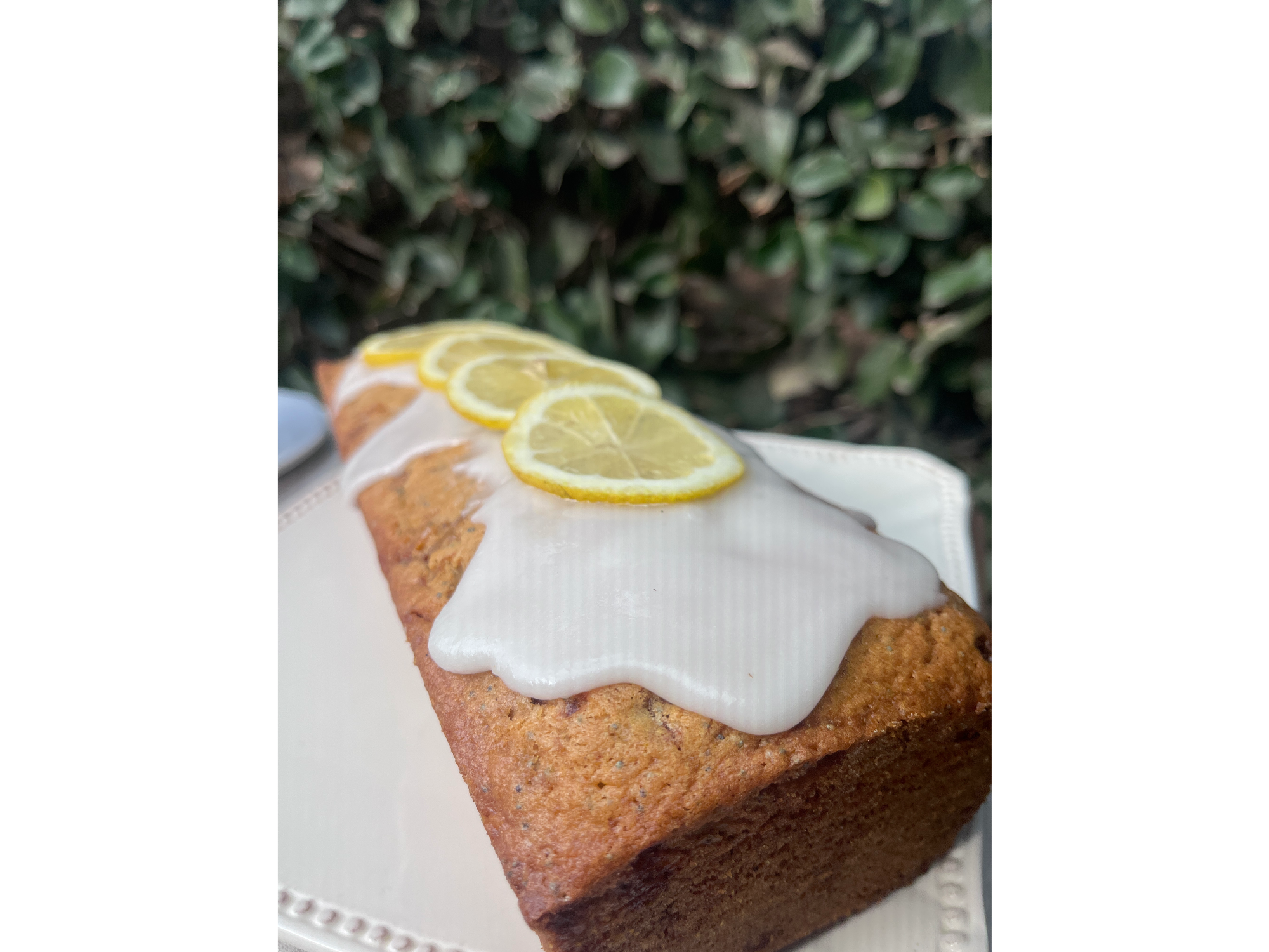 Budin de limón & amapolas