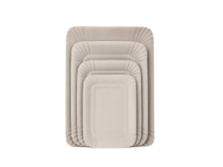 Bandeja Carton Gris Rectangular N°2