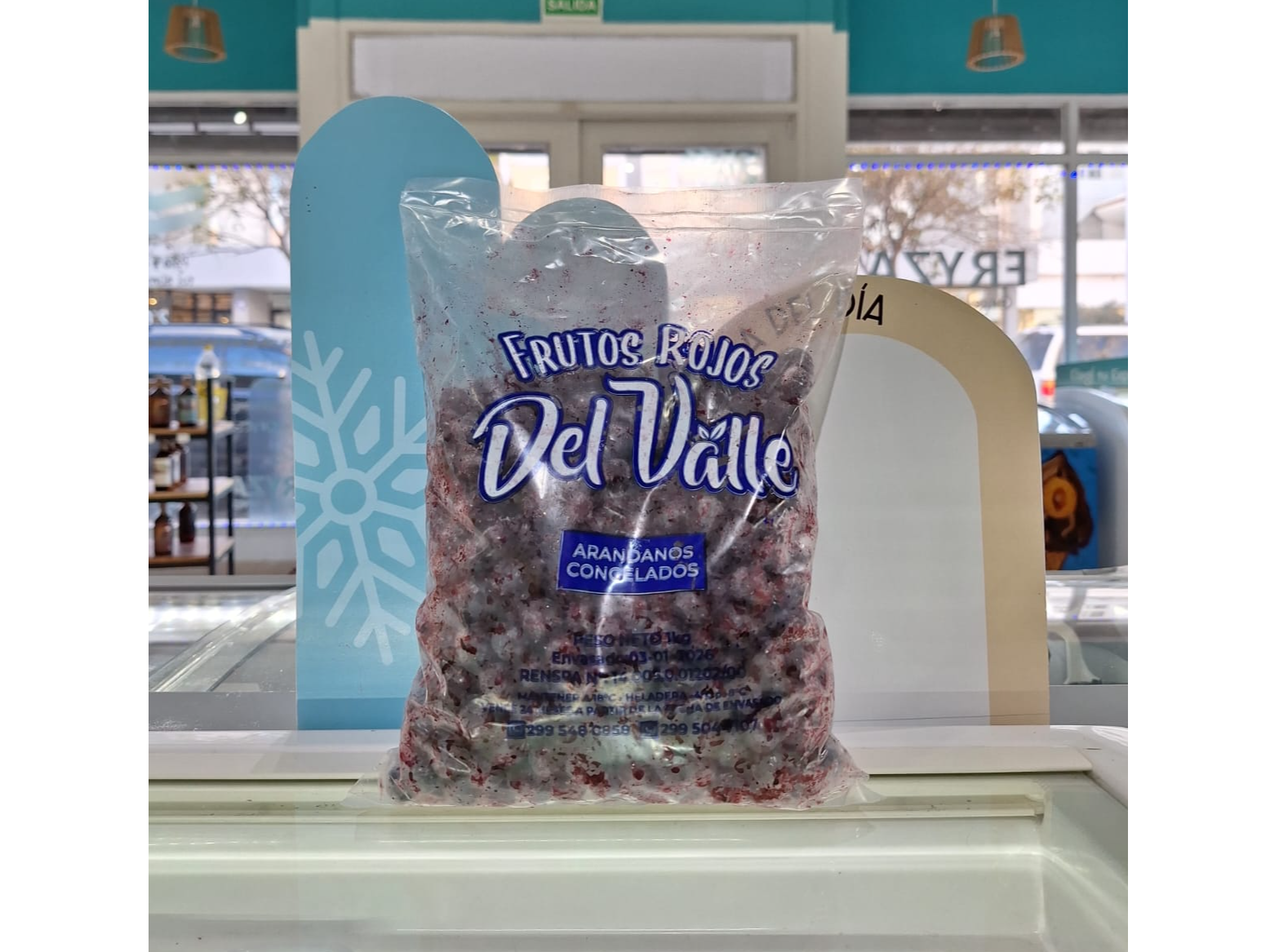 Arandanos x1kg (Frutos del Valle) de Fryza Express