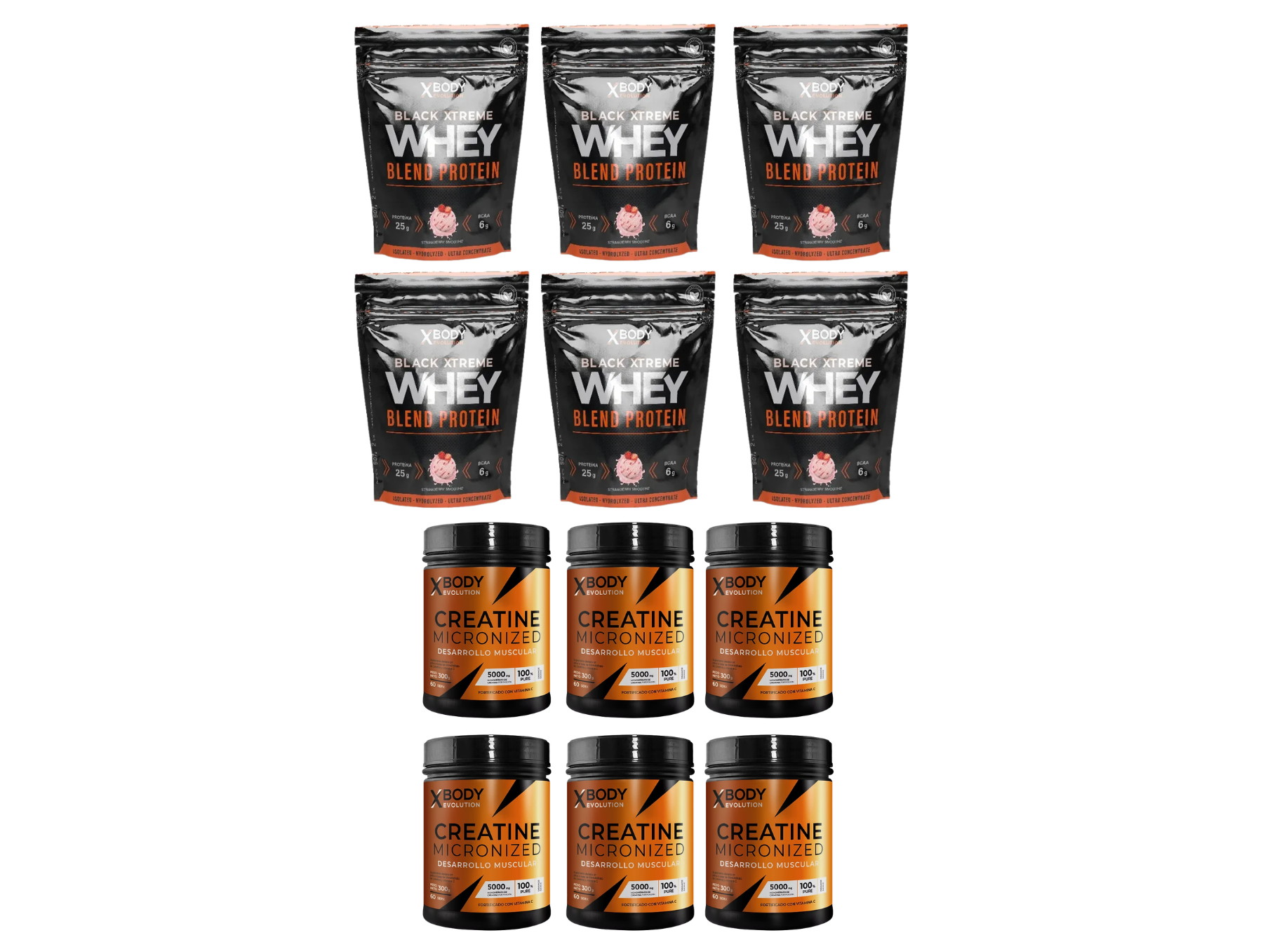 Combo 4: 6 Proteínas 2 Lb + 6 Creatinas 300 G X-Body (Envío gratis a todo el país)