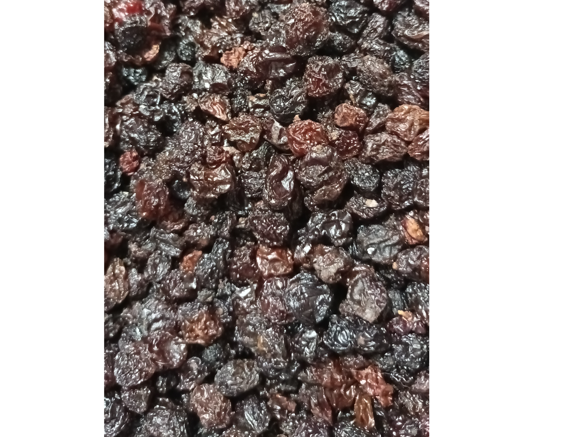 Pasa de uva morada Flame