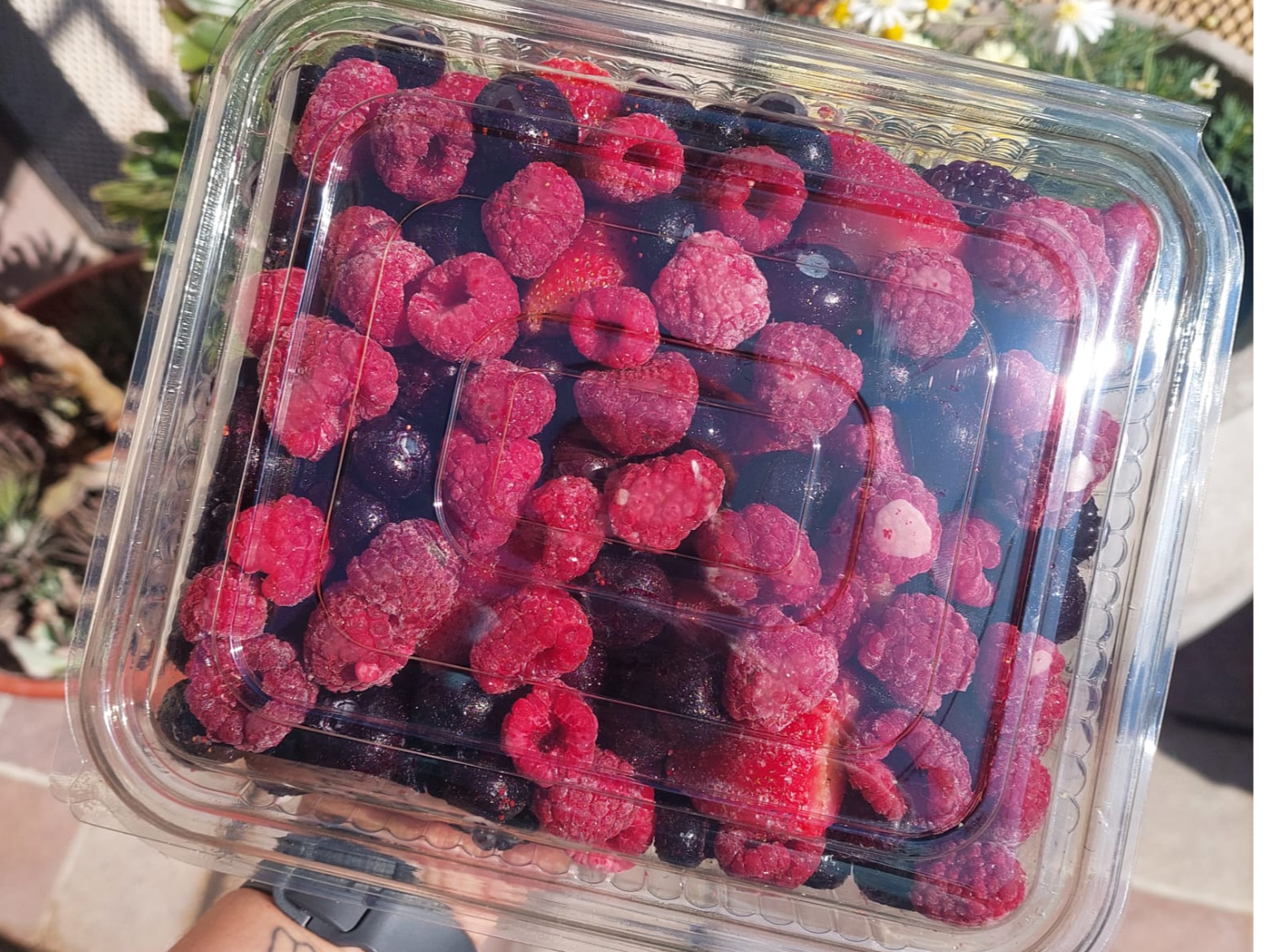 Mix de frutos rojos