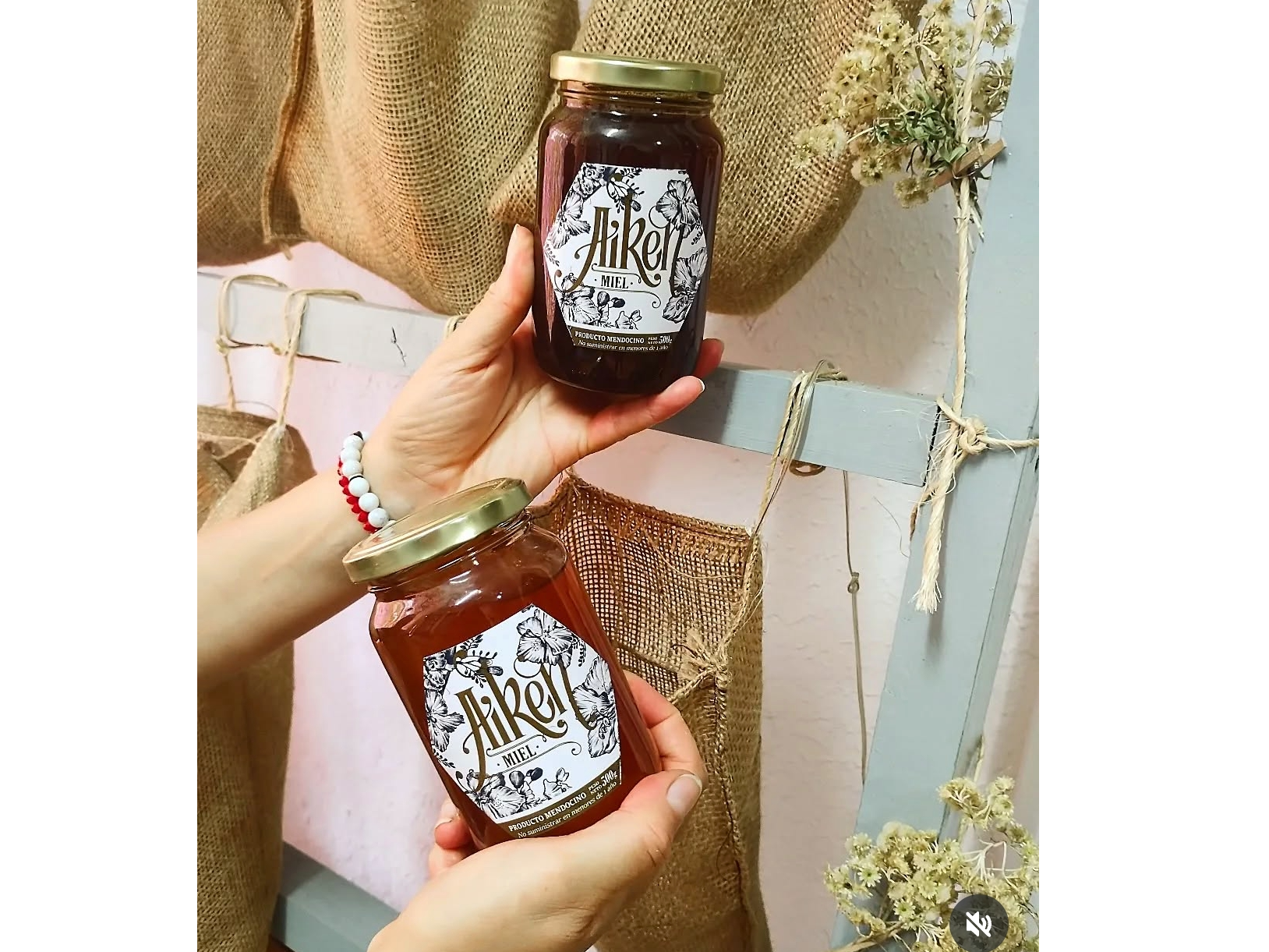 Miel orgánica AIKEN 500g