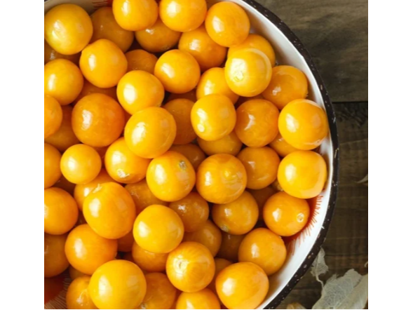 Golden Berry