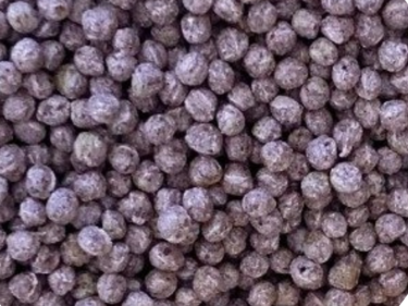 Quinoa pop de arándano