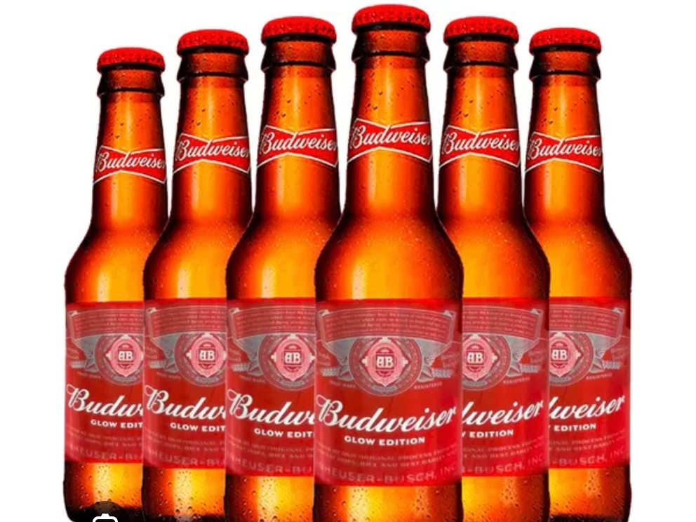 Badweiser botella de 350cc
