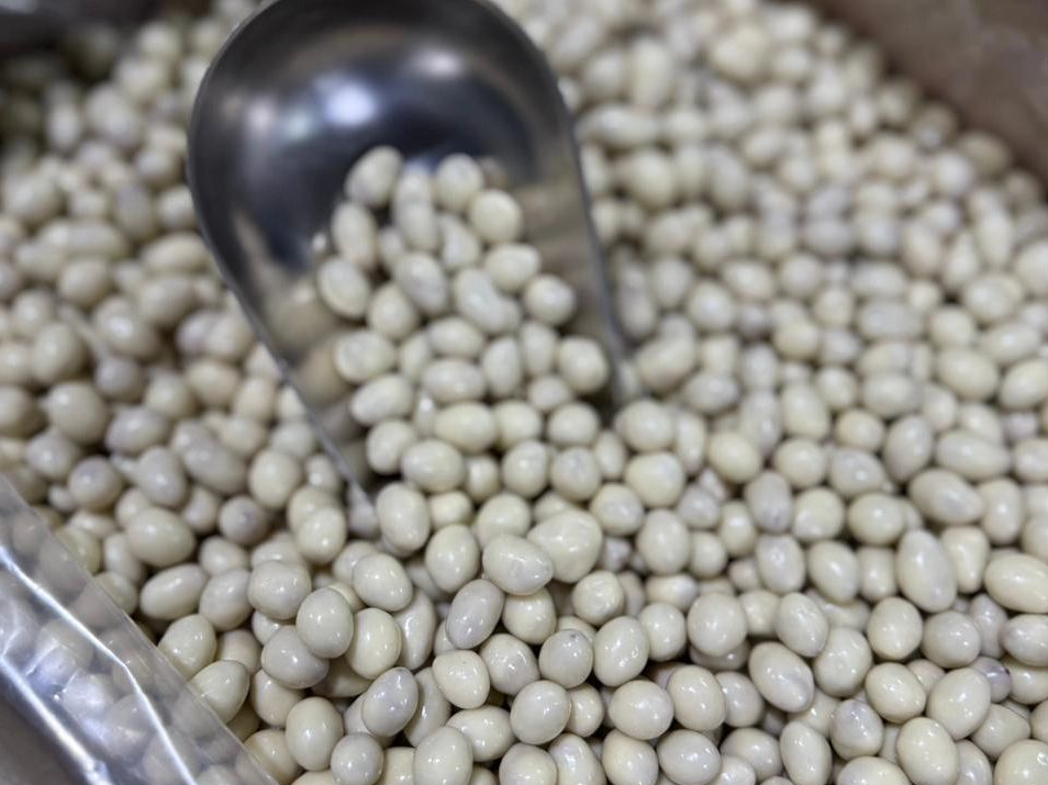 Maní con chocolate BLANCO