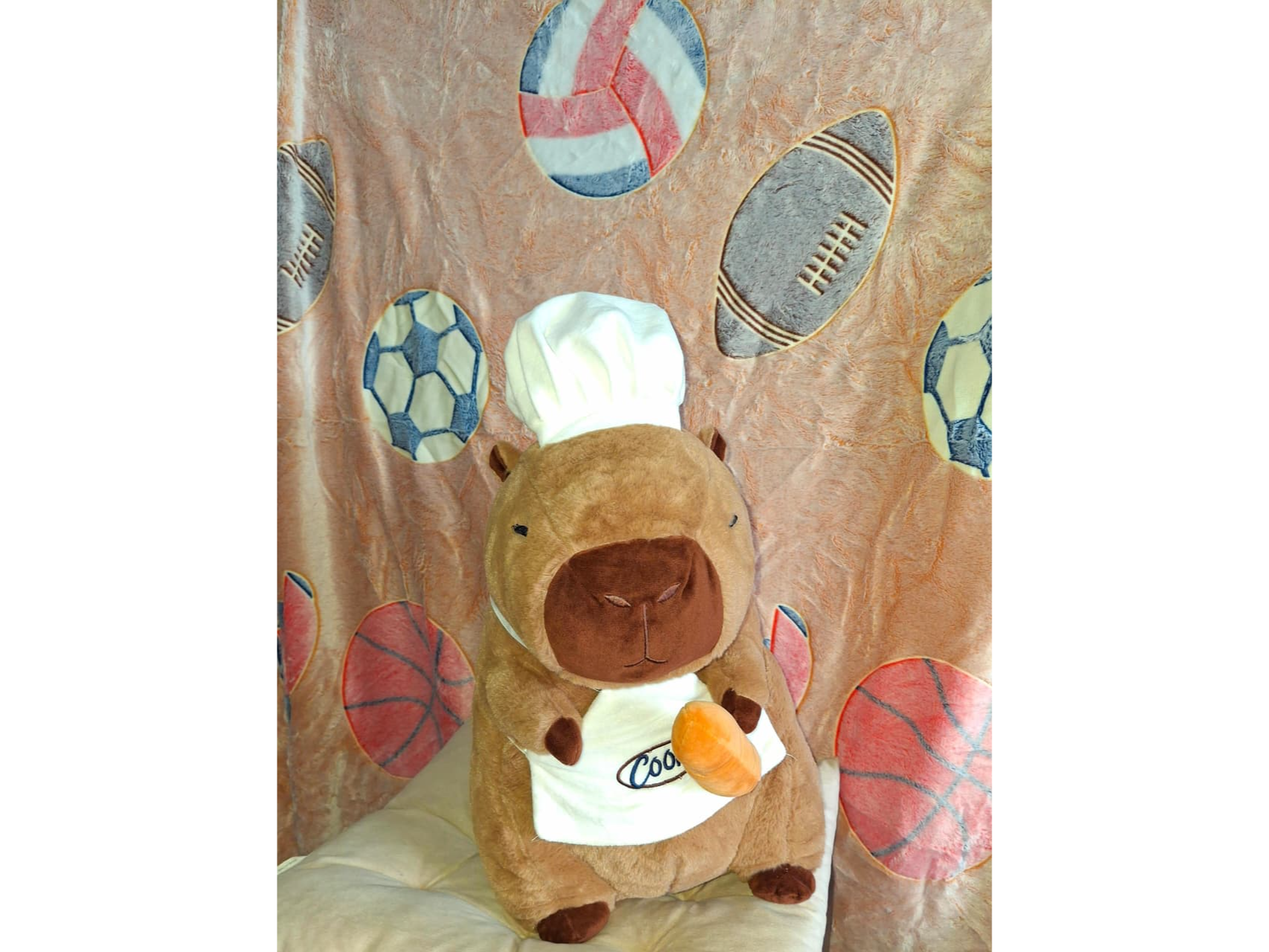 Peluches con manta  capibara hy