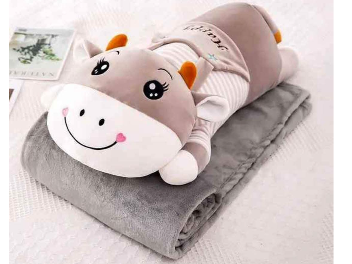 Peluches con manta wk