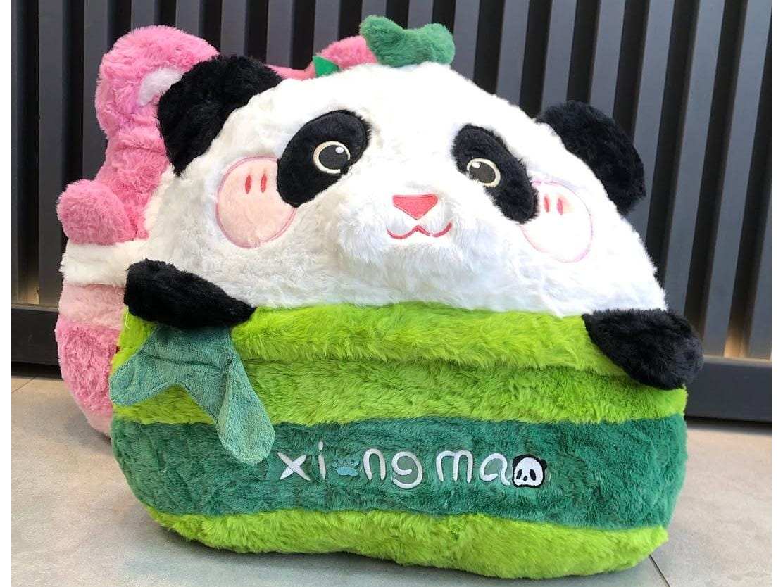 Peluches con manta c1