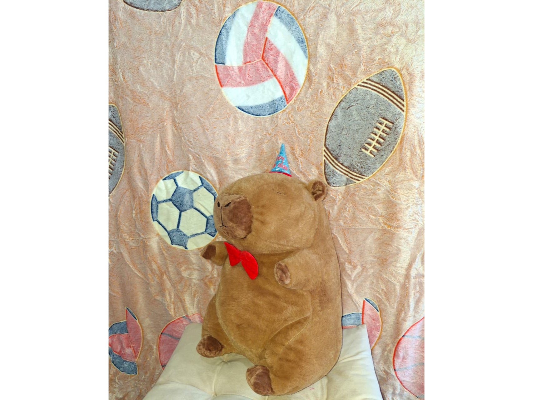 Peluches con manta  capibara hb