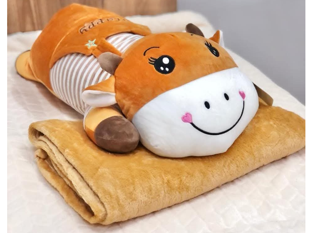 Peluches con manta qf