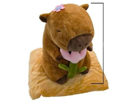 Peluches con manta capibara c/flor