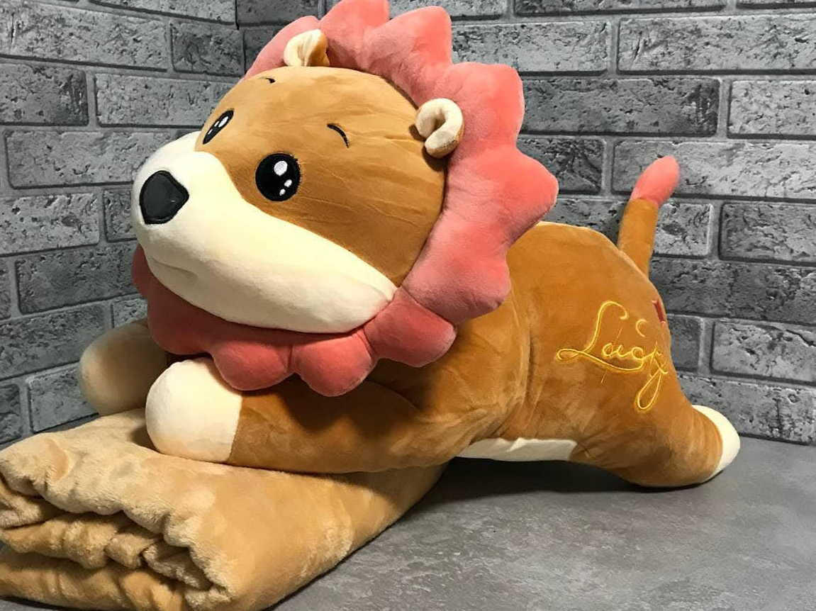 Peluches con manta cp