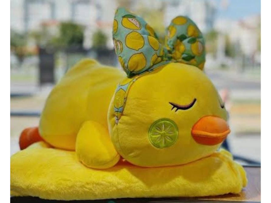 Peluches con manta pato