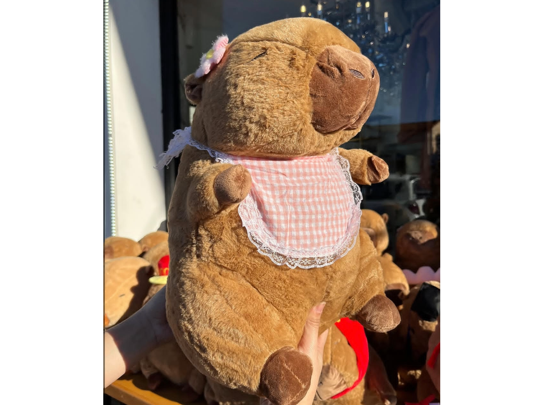 Peluches con manta capibara mf