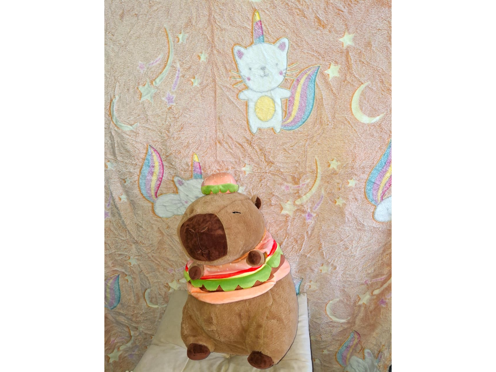 Peluches con manta  capibara lm