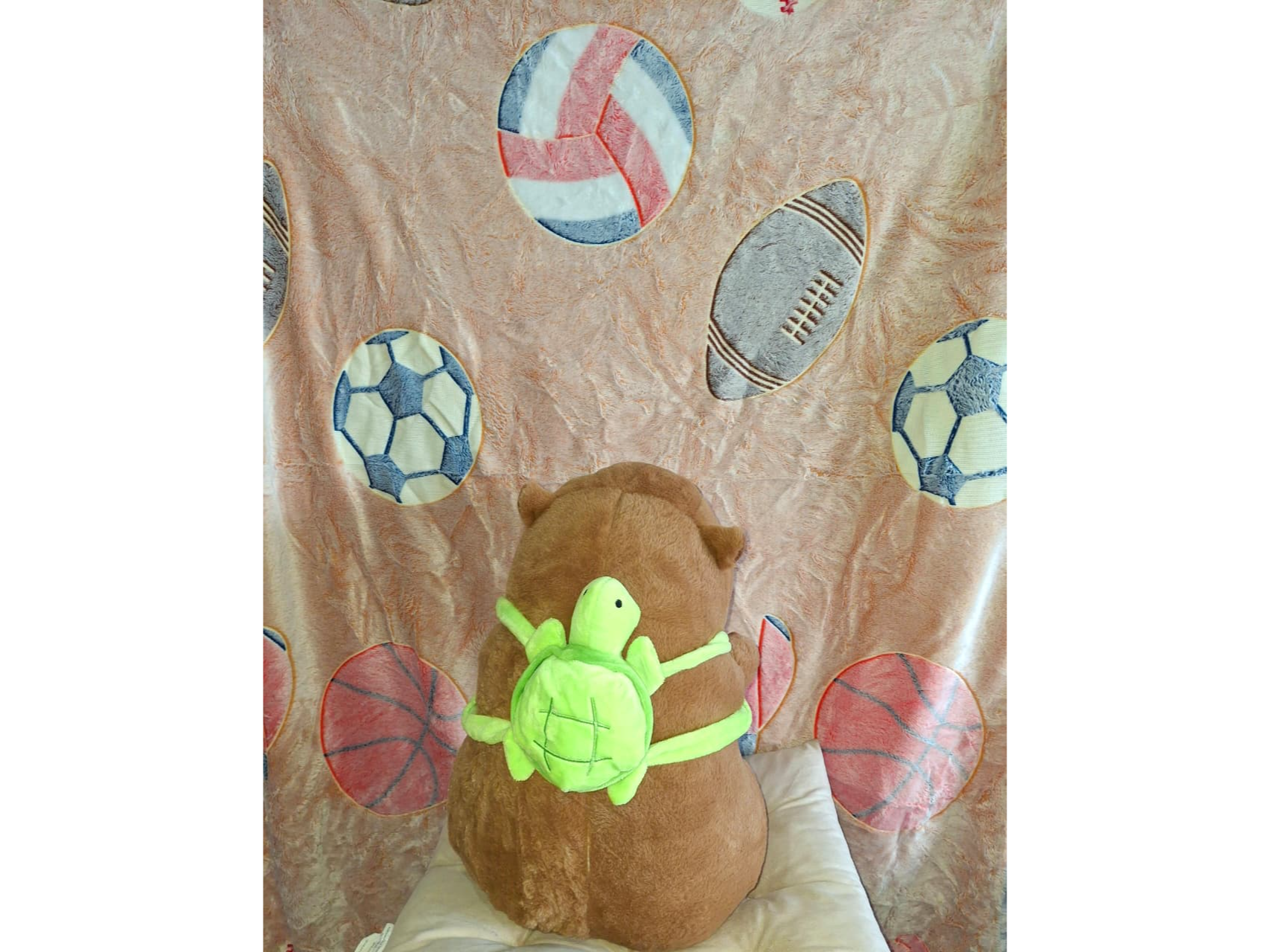 Peluches con manta  capibara fy