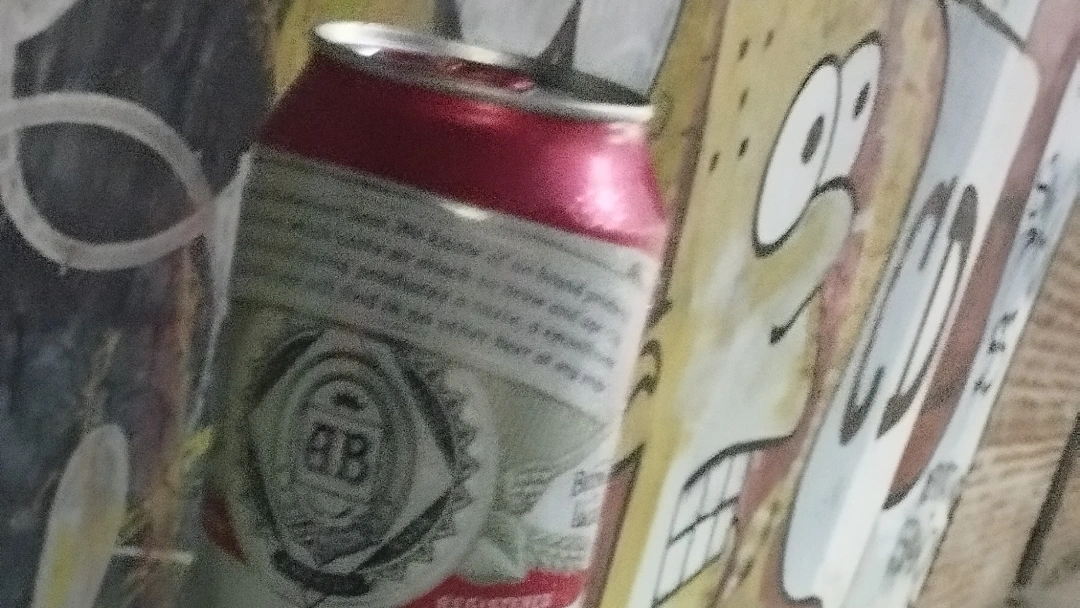BEBIDAS