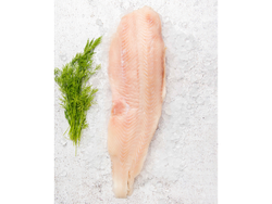 FILET ATUN ENVASADO X KG