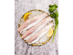 FILET MERLUZA (precio x kg)