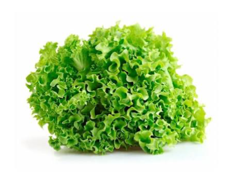 Lechuga crespa - $5000