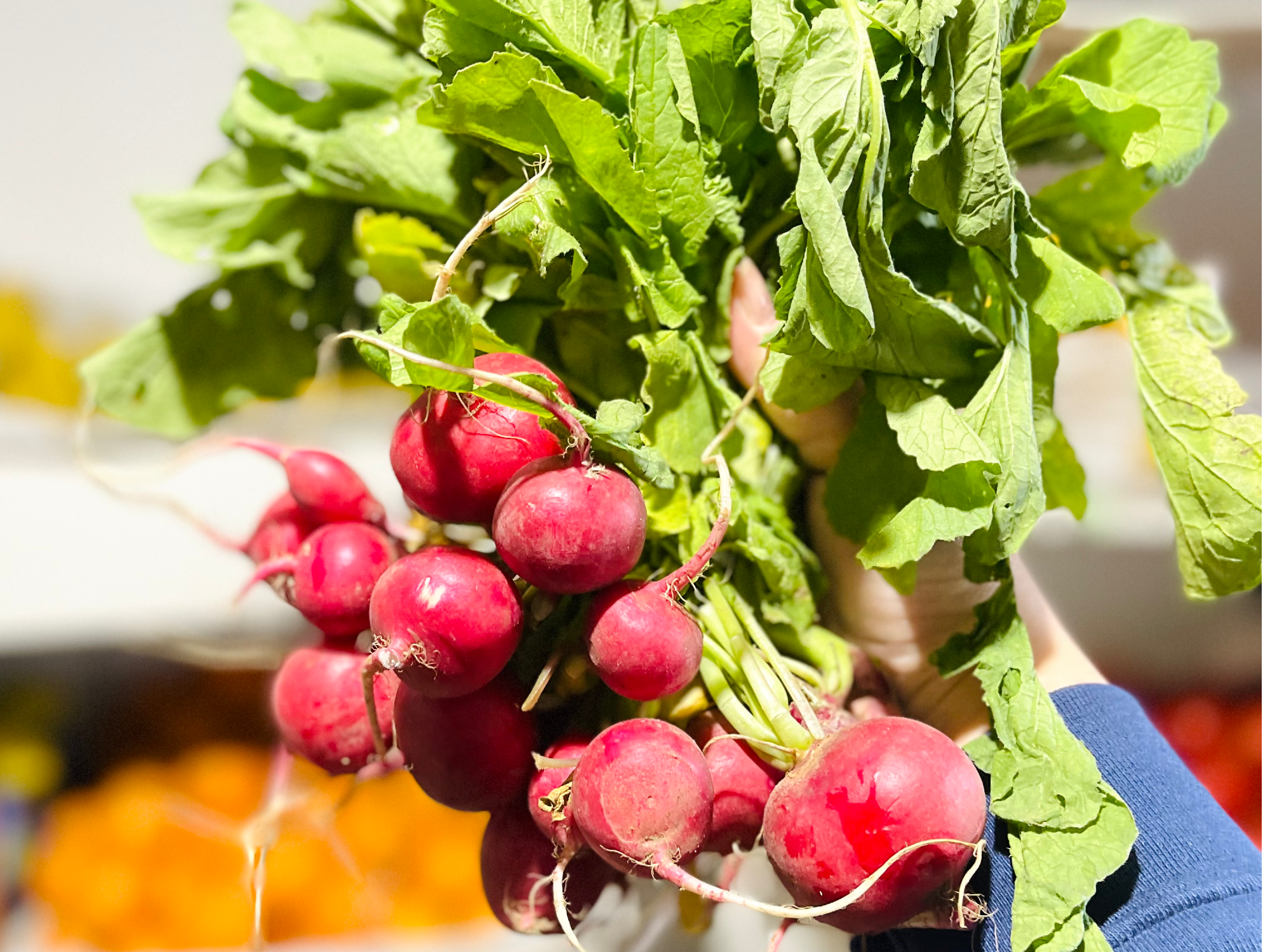 At Rabanito - $1.500