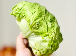 Lechuga repollada - $2.550