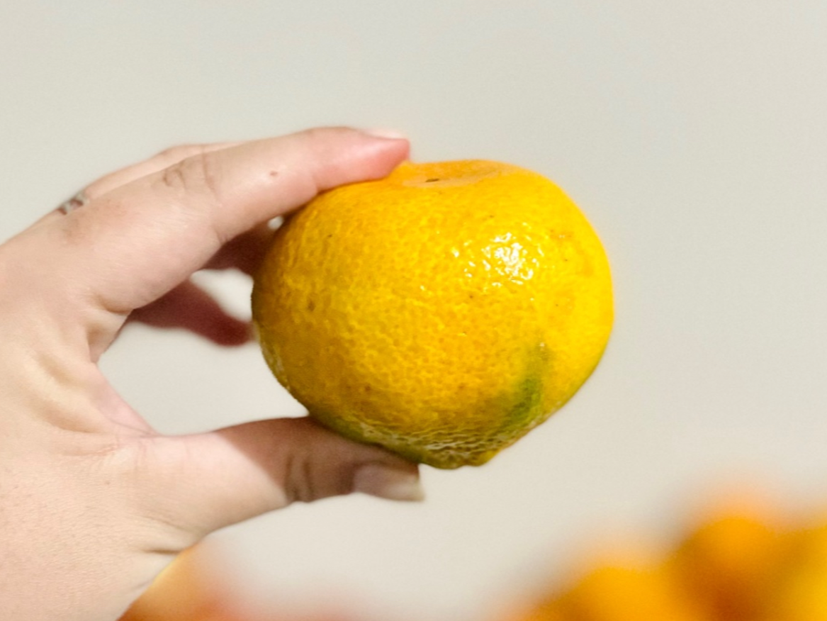 Mandarina