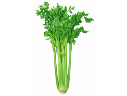 Apio 100gr
