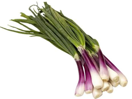 Cebolla de verdeo