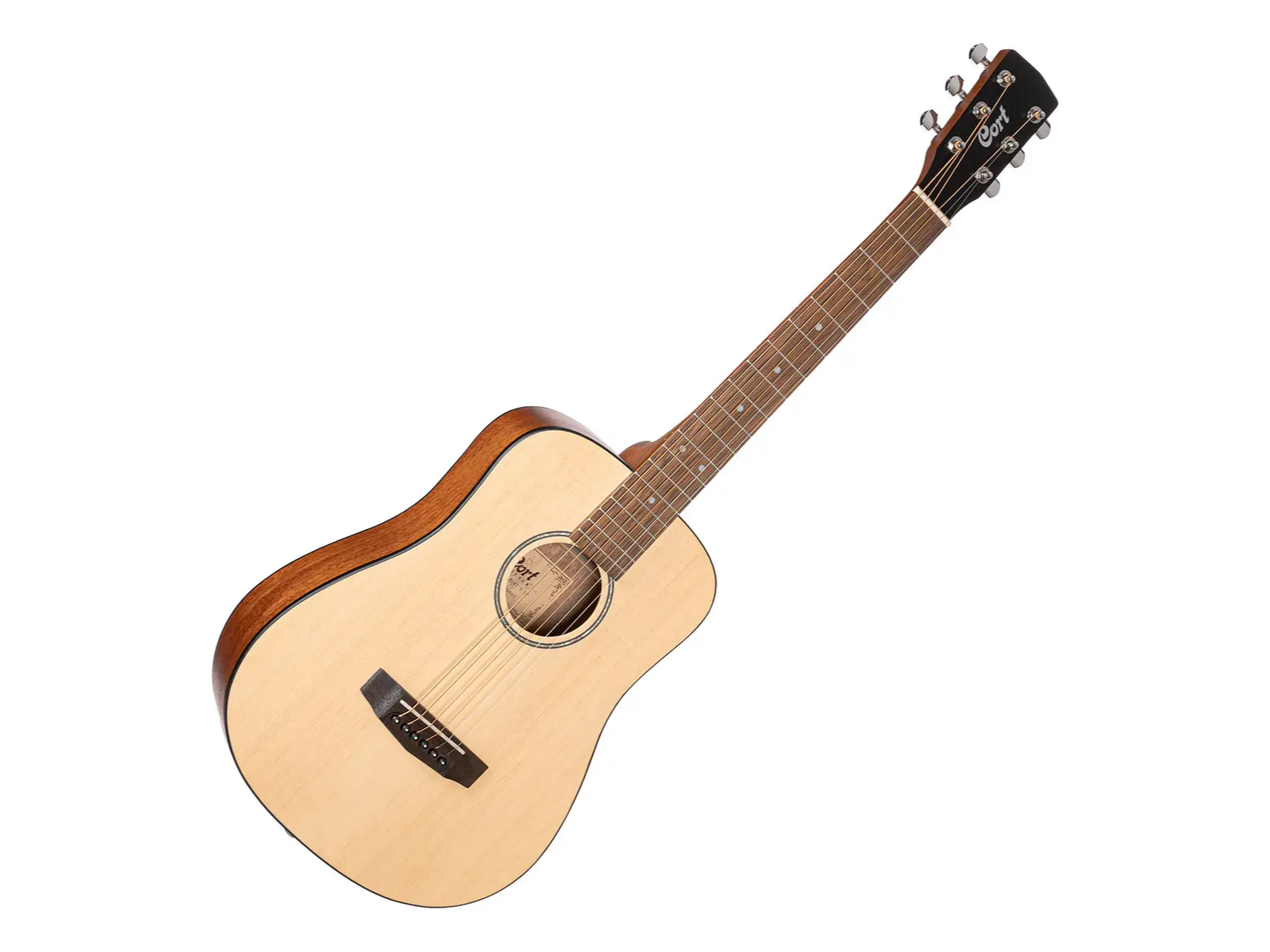 CORT ADMINI-OP