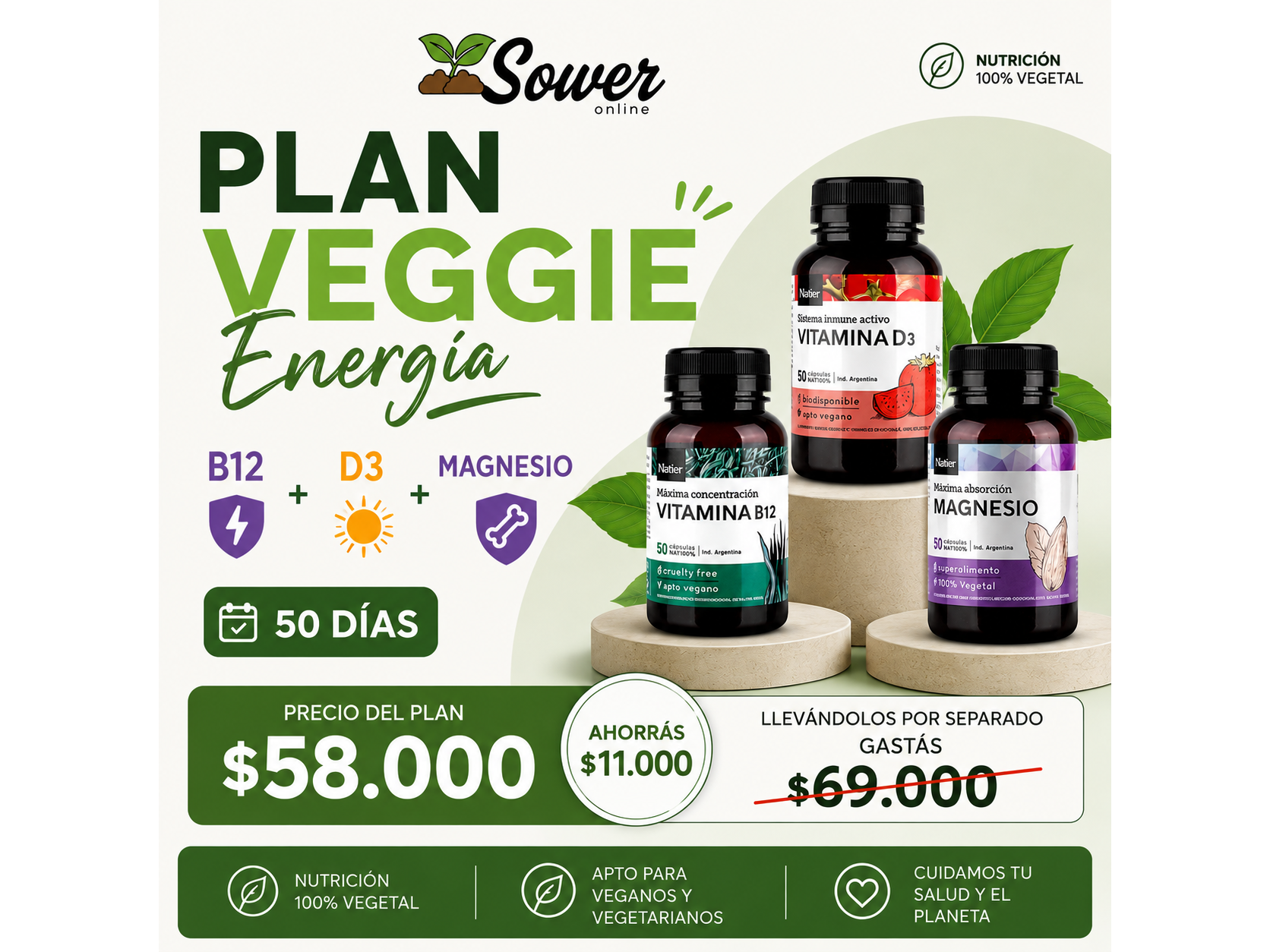 Plan Veggie Energía 🌱