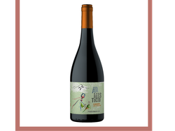 Armisticio carmenere