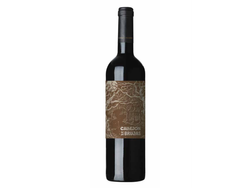 Callejon De Brujas Malbec