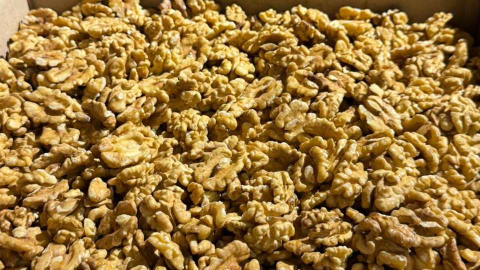 ¡NUEZ COSECHA 2026!