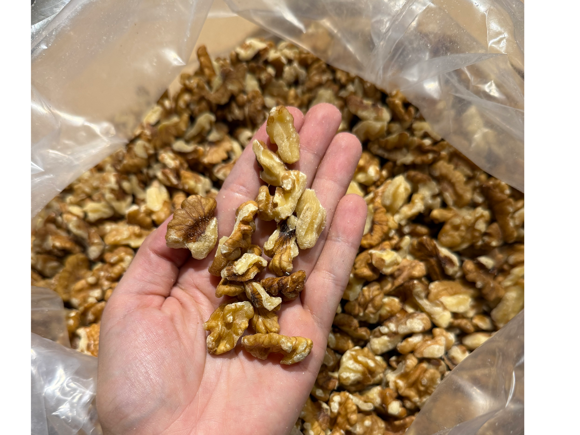 Nuez dorada partida ¡COSECHA 2026!