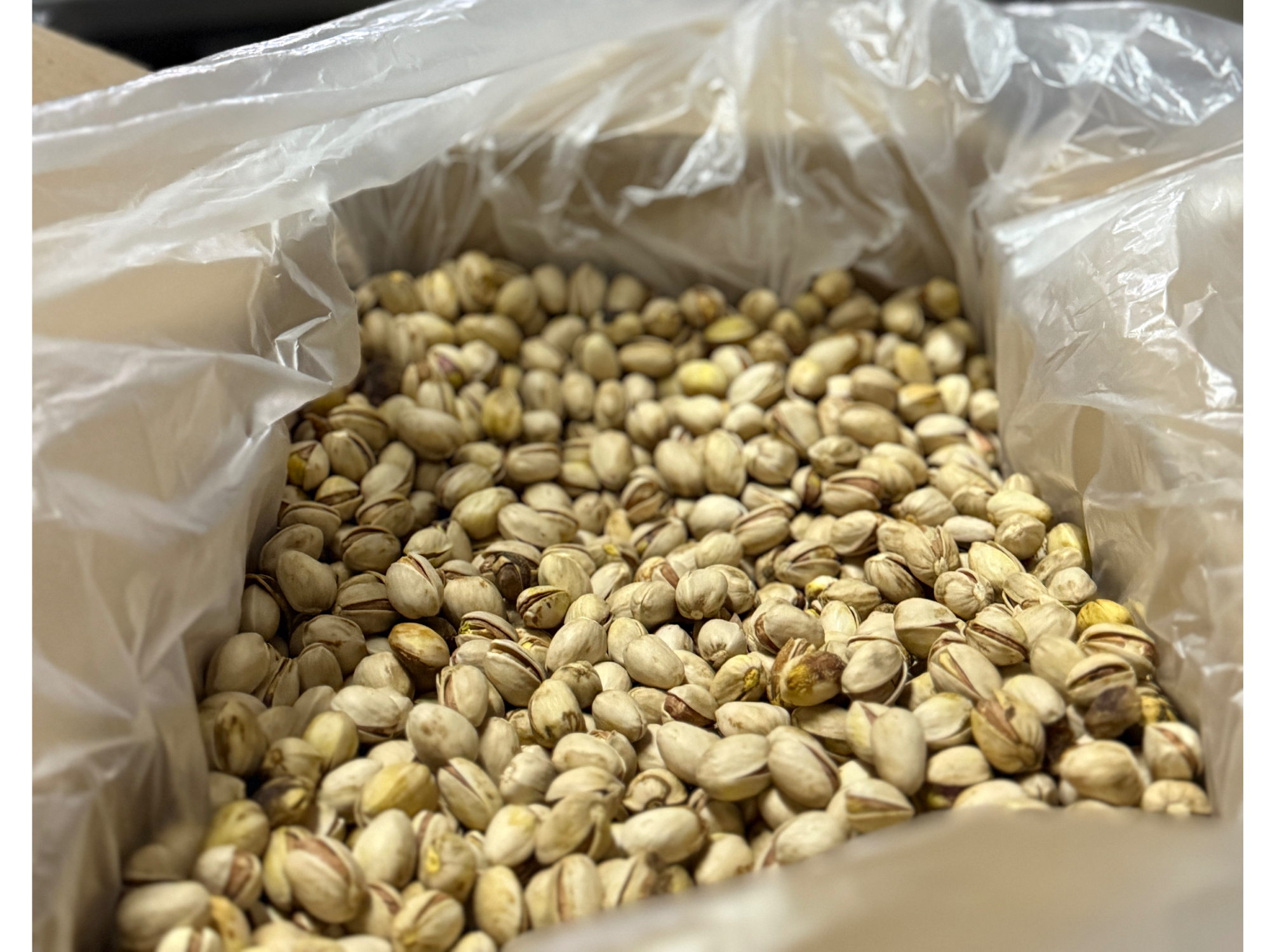 Pistachos con cáscara natural x kg